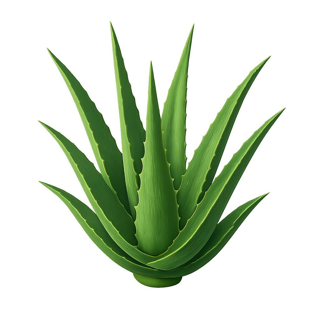 Aloe vera barbadensis miller AI generated image
